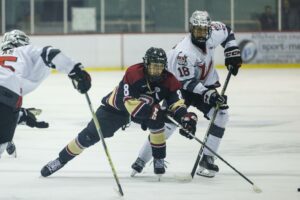 Journée d&rsquo;adoption à don volontaire pour contrer la surcharge