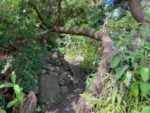 Saint-Lambert détaille les travaux du parc Logan