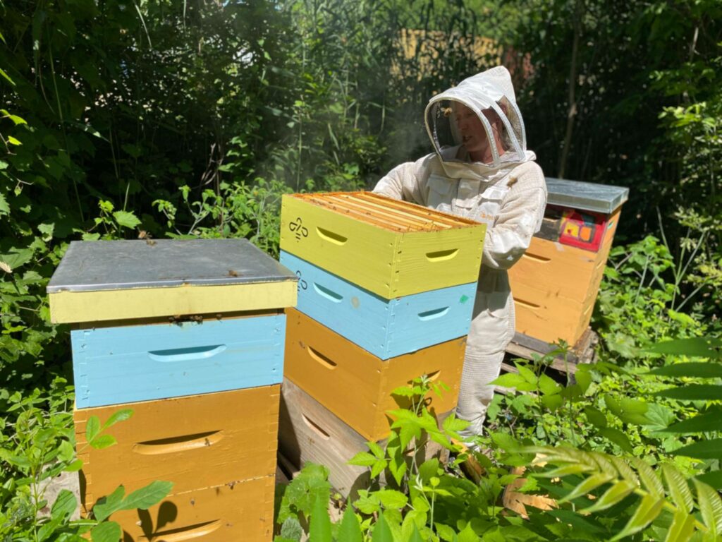 VIDÉO – Créer un environnement propice pour l’humain et pour l’abeille