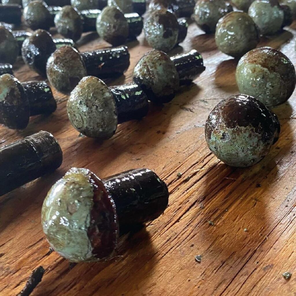 Près de 4000 pièces-souvenirs du pont Champlain distribuées aux citoyens