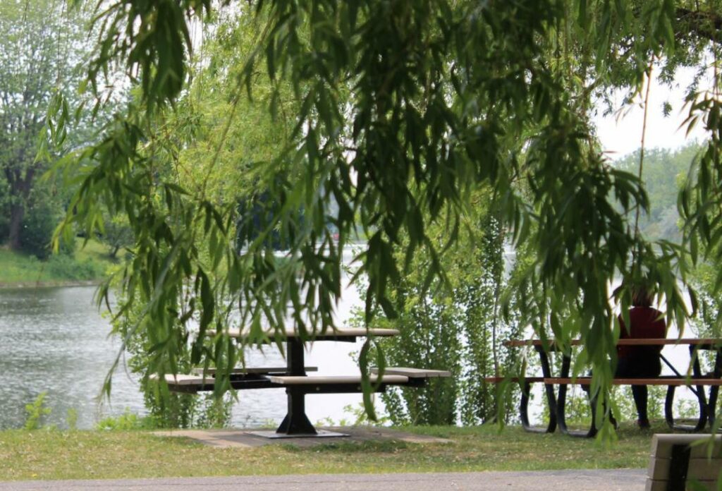 Opinion : Les Olympiques du climat