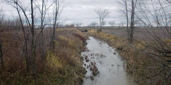 Plantation au ruisseau Massé : bénévoles recherchés