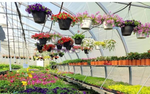 Longueuil : coup de pouce pour Les Jardins de la Croisée