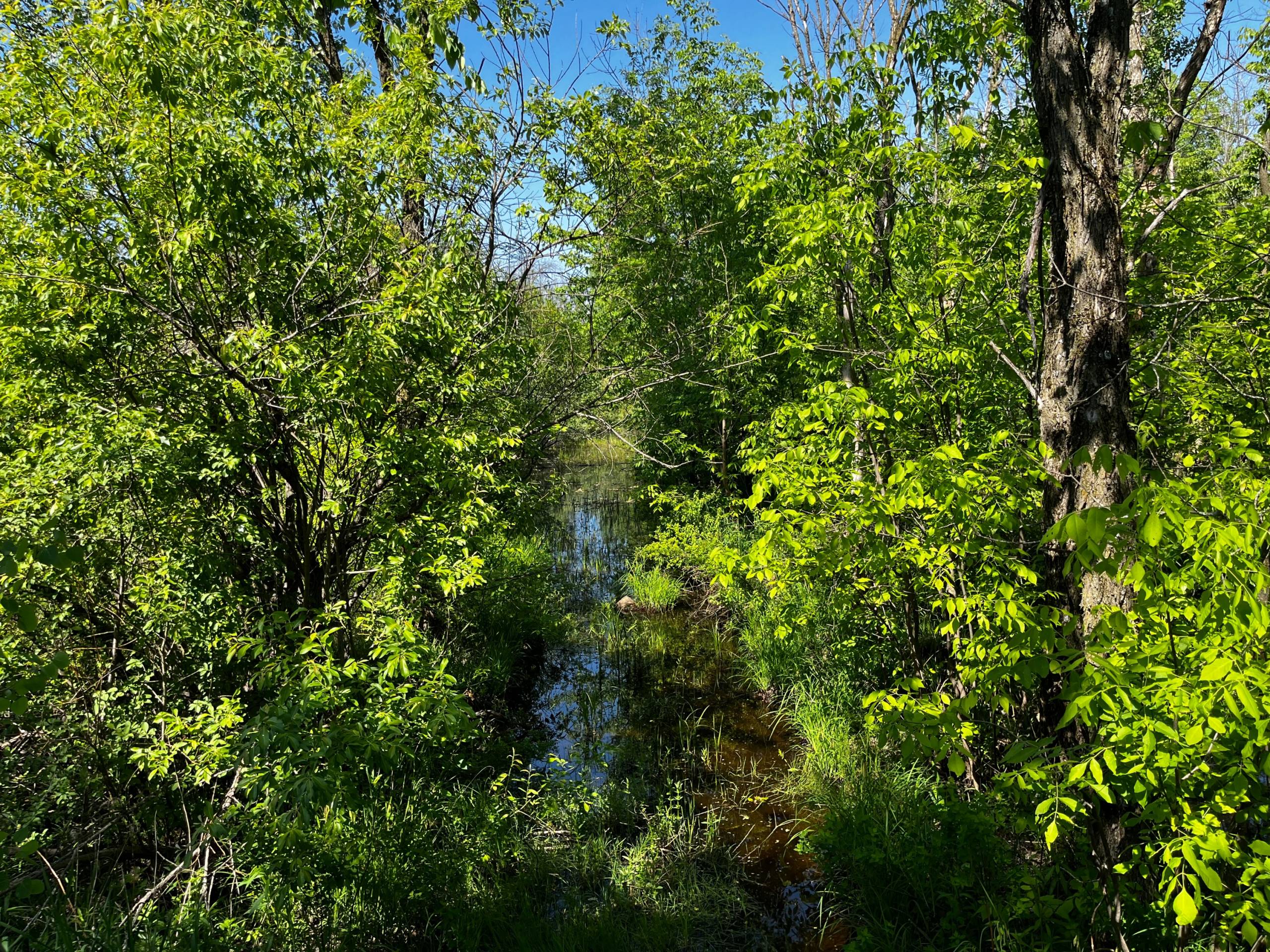 OPINION. En ces temps troubles pour l’environnement et la paix