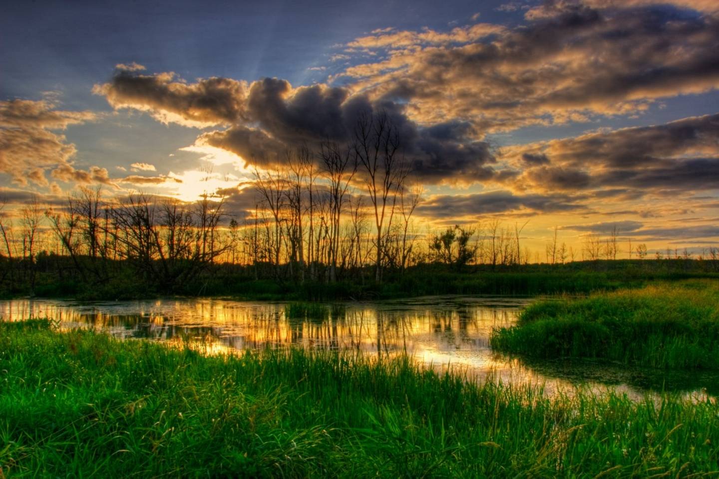 Île Saint-Bernard : gastronomie, nature et bien-être au rendez-vous