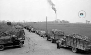 Fouiller dans le « garde-manger du Québec »! 