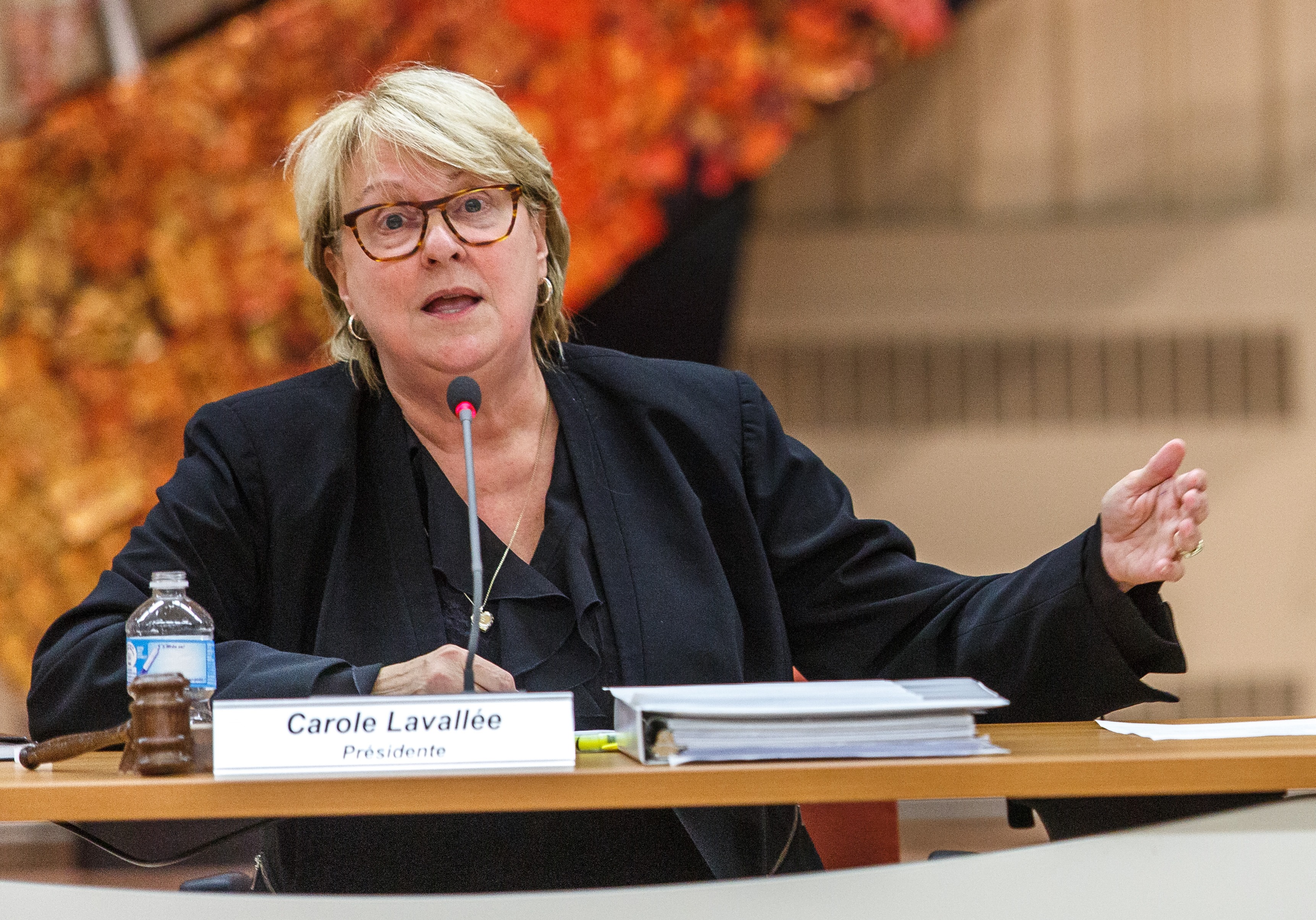 Des propos de Carole Lavallée concernant l&rsquo;immigration font réagir