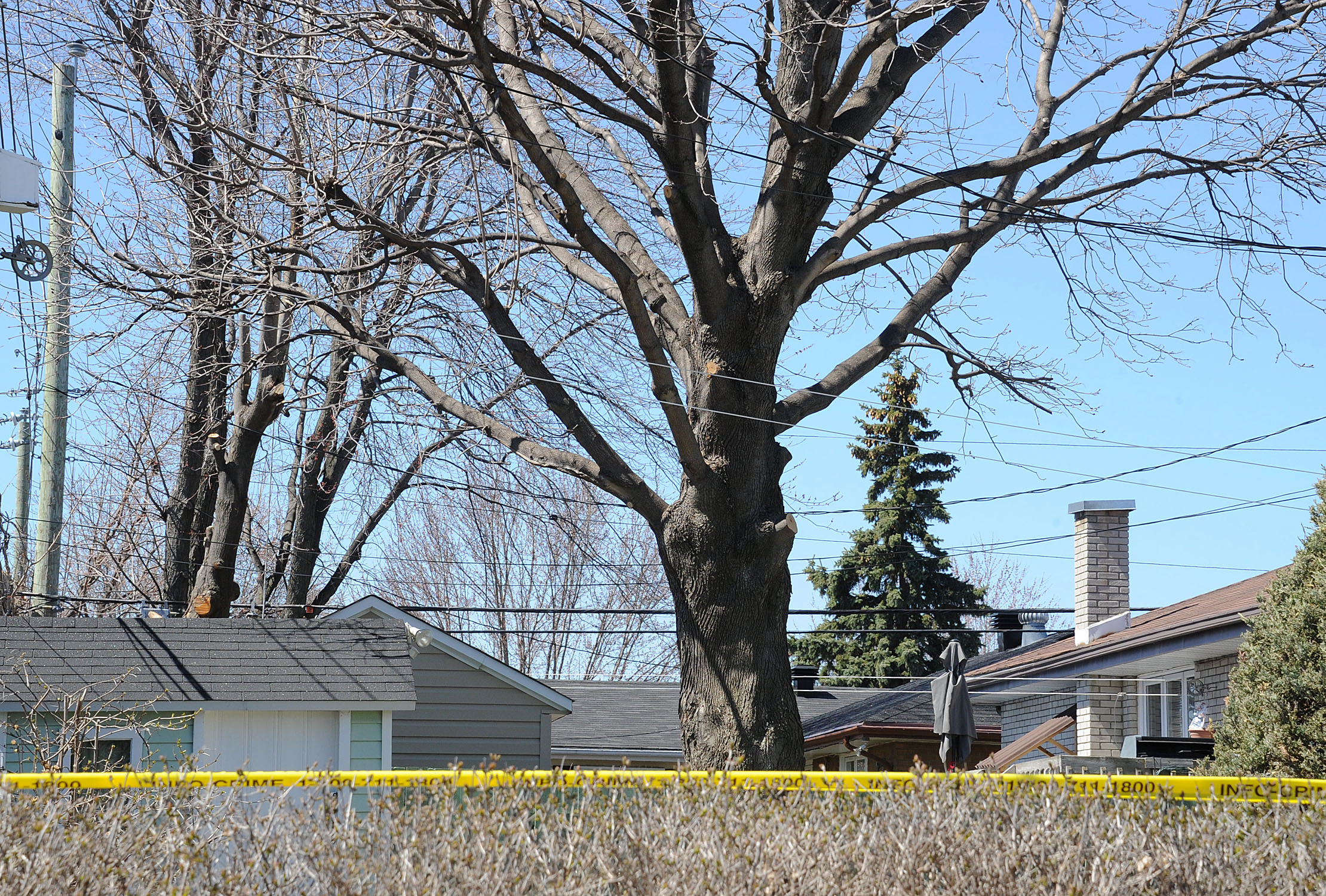 Accident de travail: un émondeur est électrocuté à Longueuil