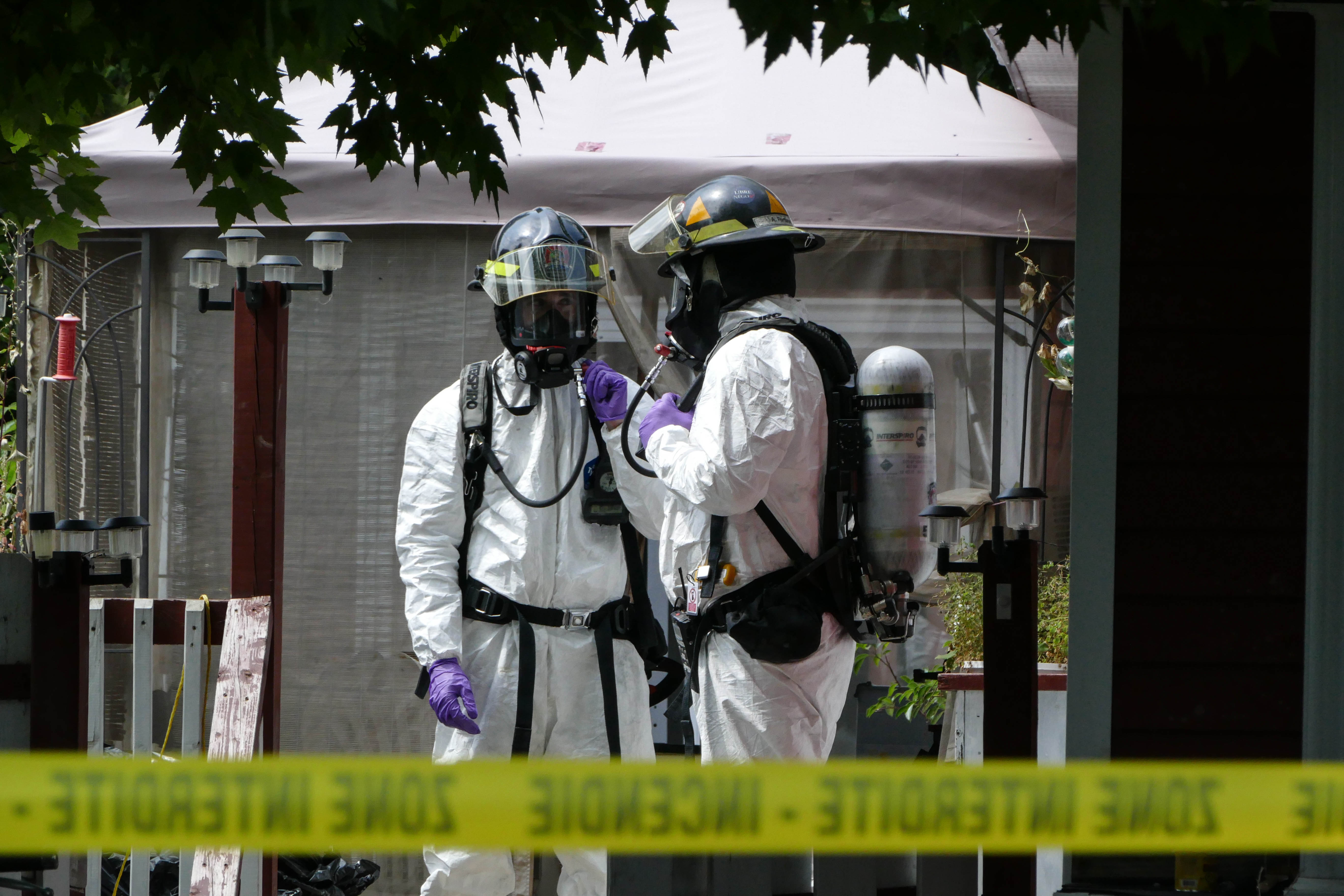 7 chats retrouvés dans un congélateur à Saint-Hubert