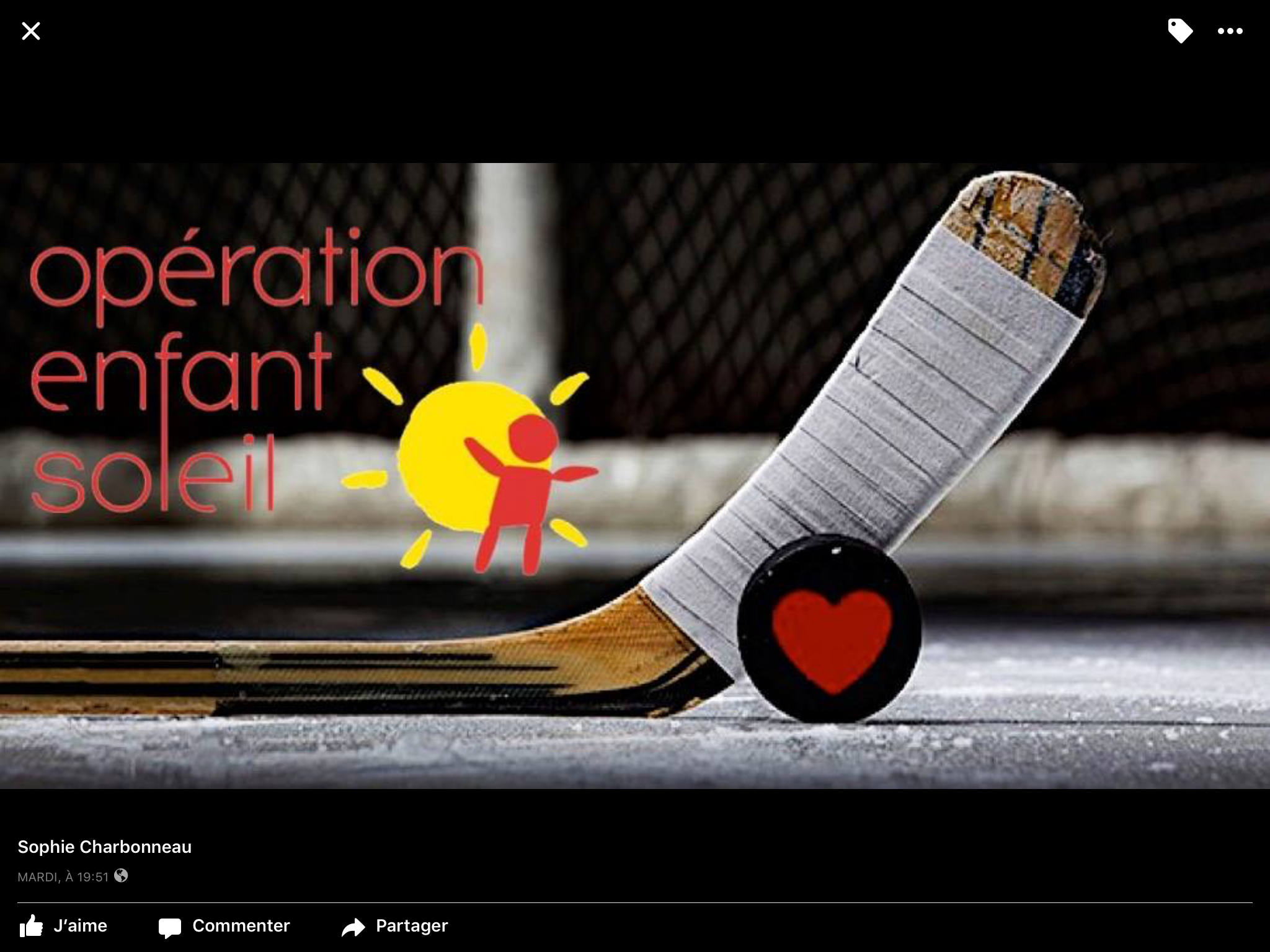 Anciens joueurs de la LNH et artistes sur une même glace pour Opération Enfant Soleil