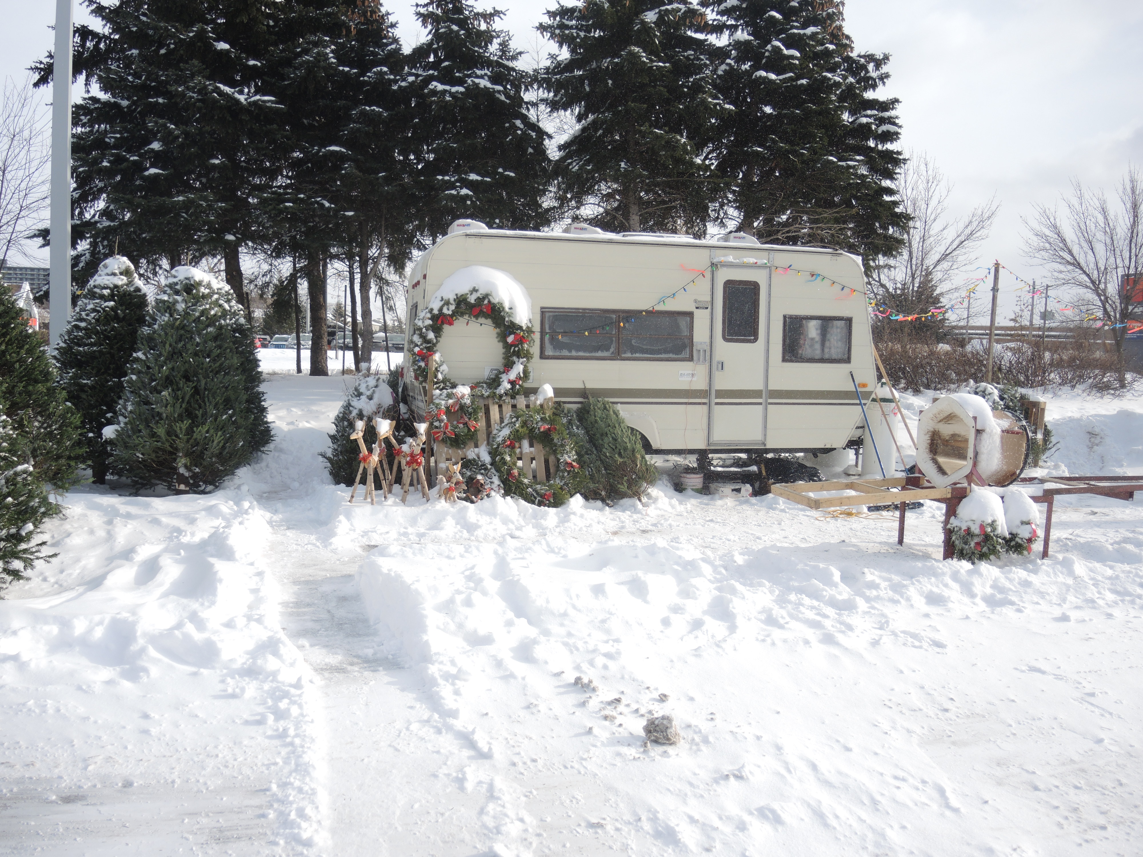 Cambriolage dans un commerce de sapins de Noël