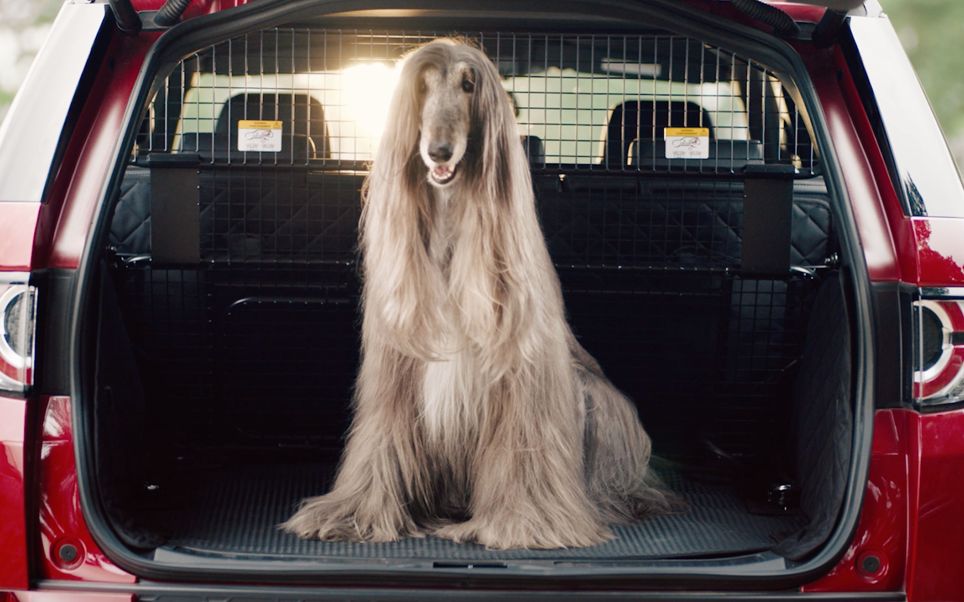 Land Rover offre maintenant en option un ensemble canin