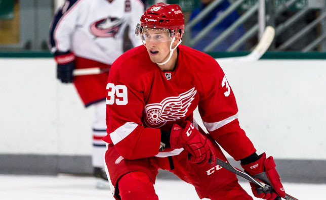 La soirée d’Anthony Mantha au Centre Bell gâchée