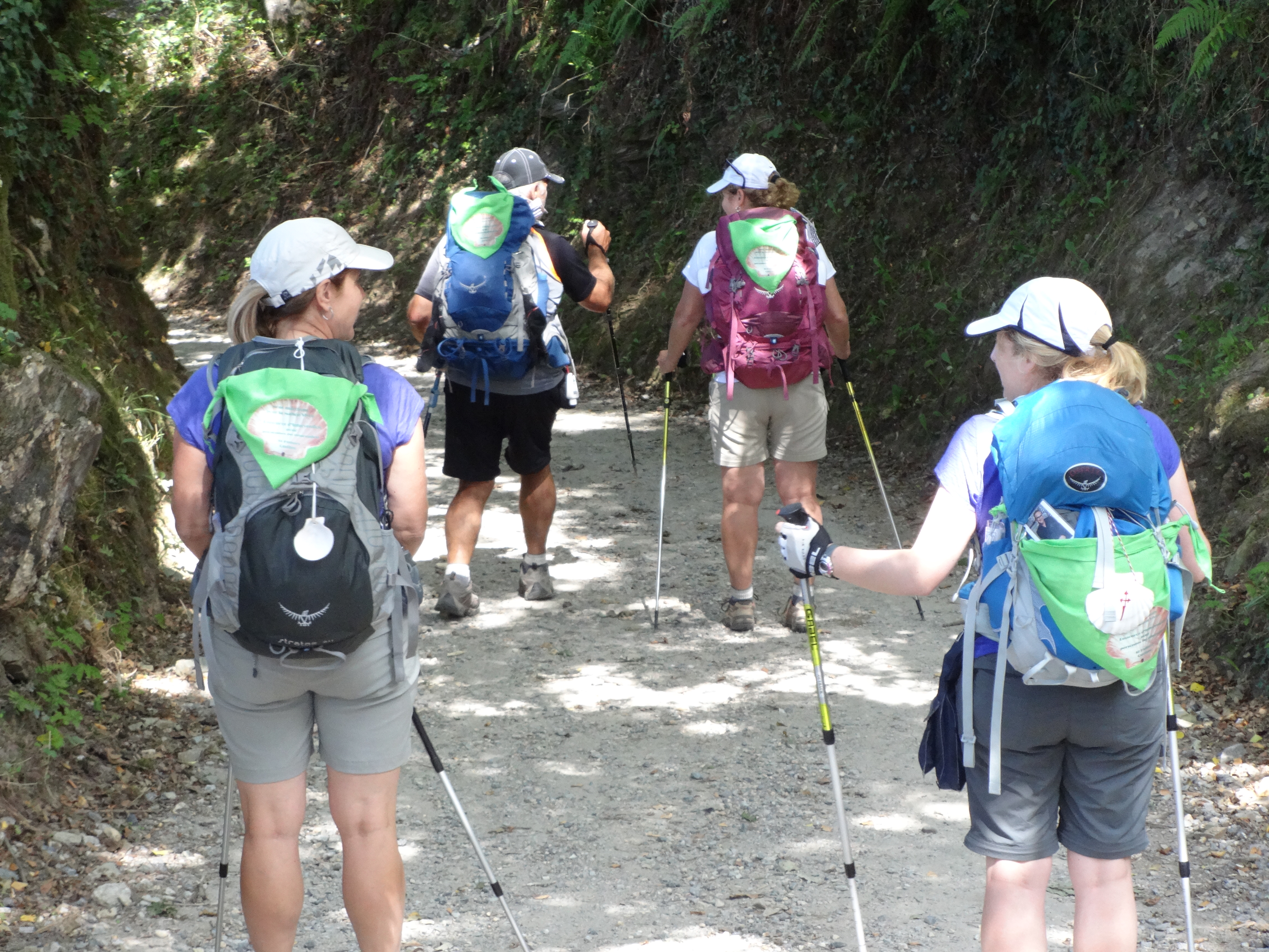 Vivre Compostelle au profit de Maison Vivre