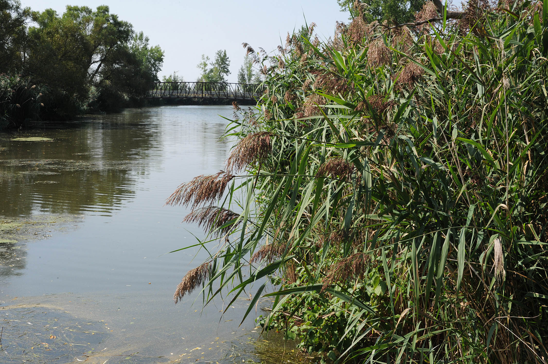 Une frayère aménagée dans la rivière Saint-Jacques