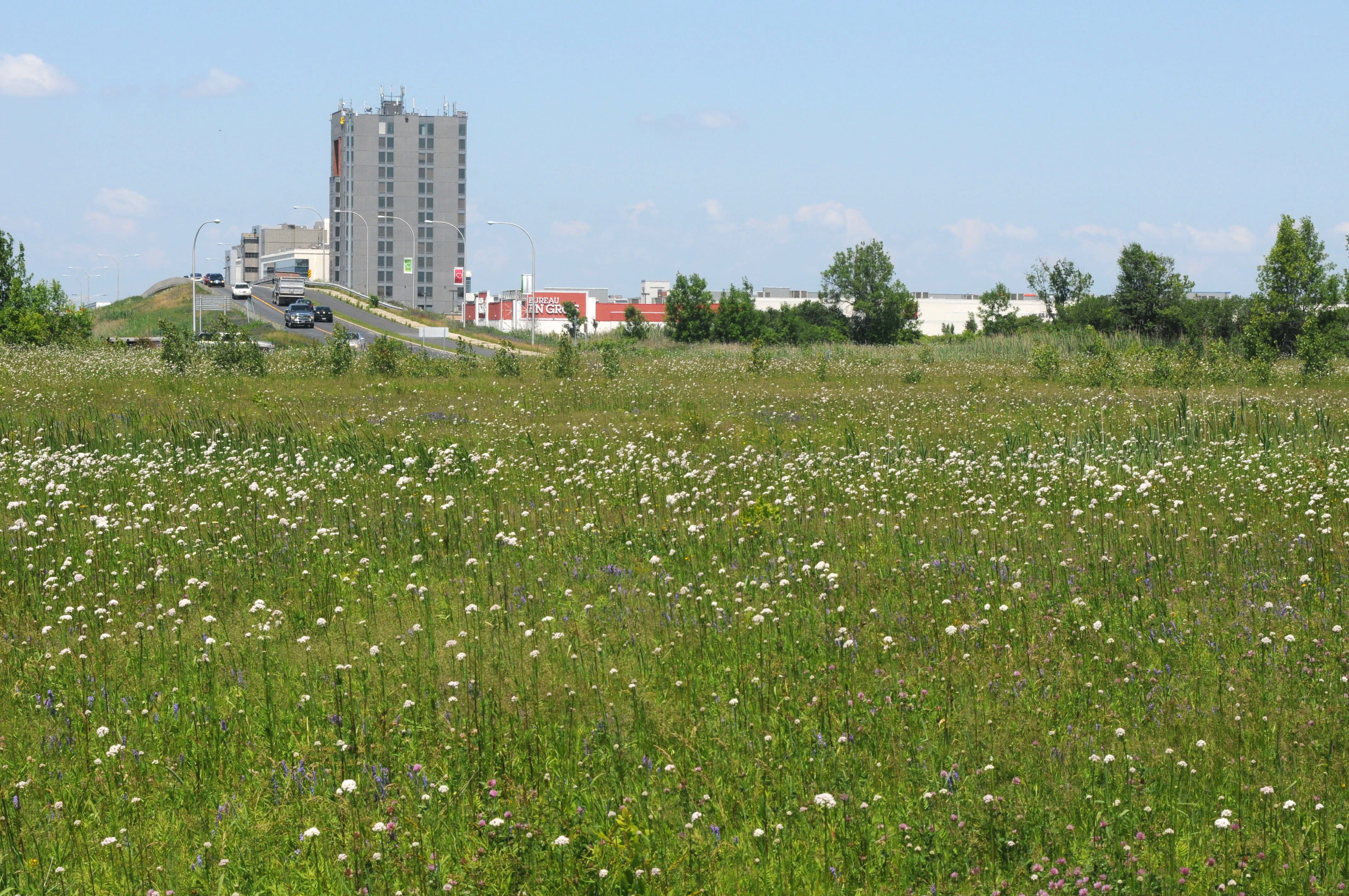 Le projet de SLR empiète sur des terres agricoles