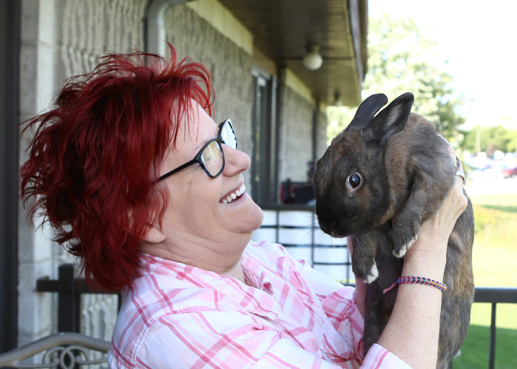 Le lapin Maya: une demande d’appel sera déposée
