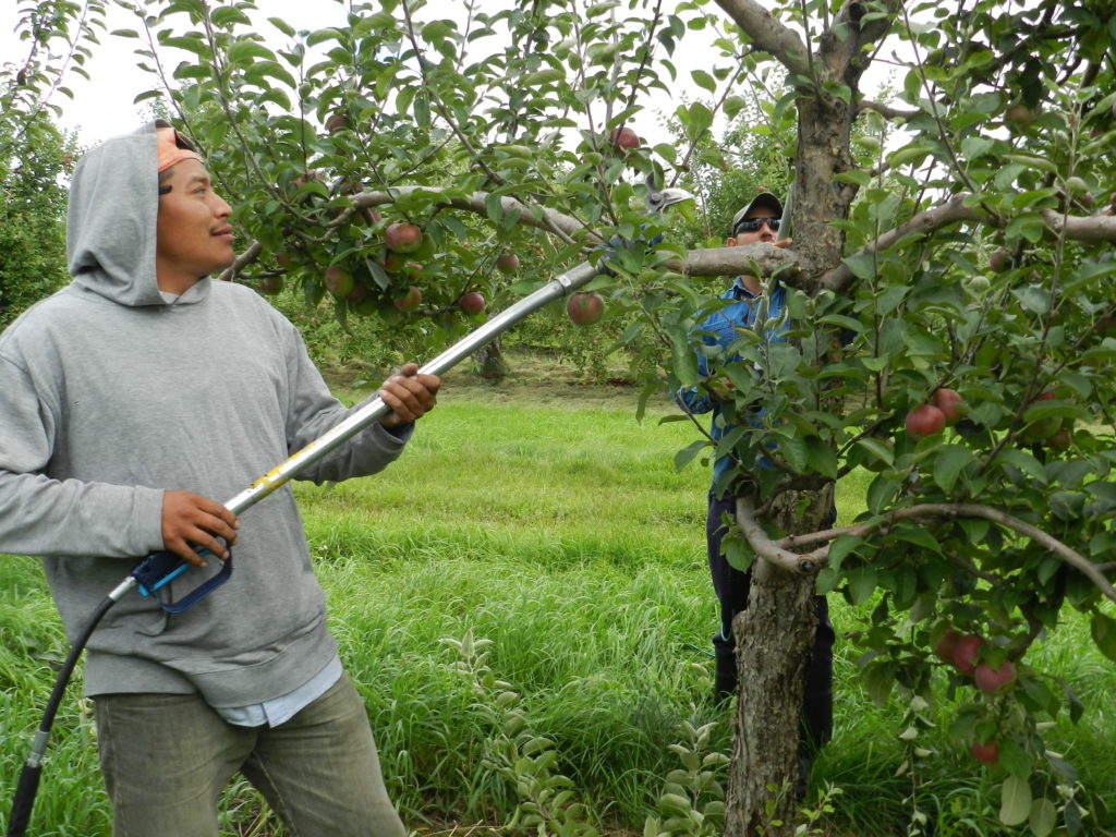 Une Escouade prévention pour les employeurs de travailleurs étrangers temporaires