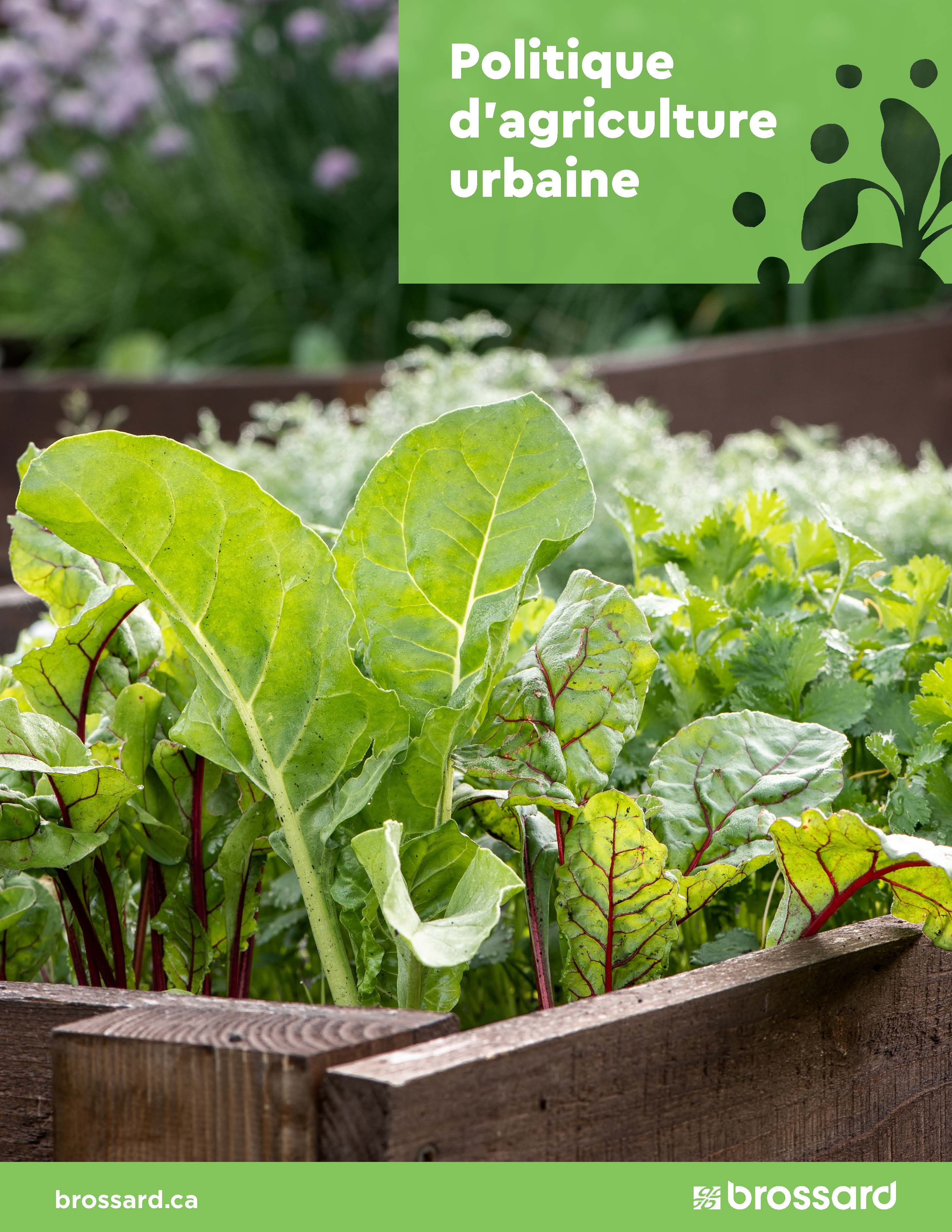 Brossard adopte sa première politique d&rsquo;agriculture urbaine