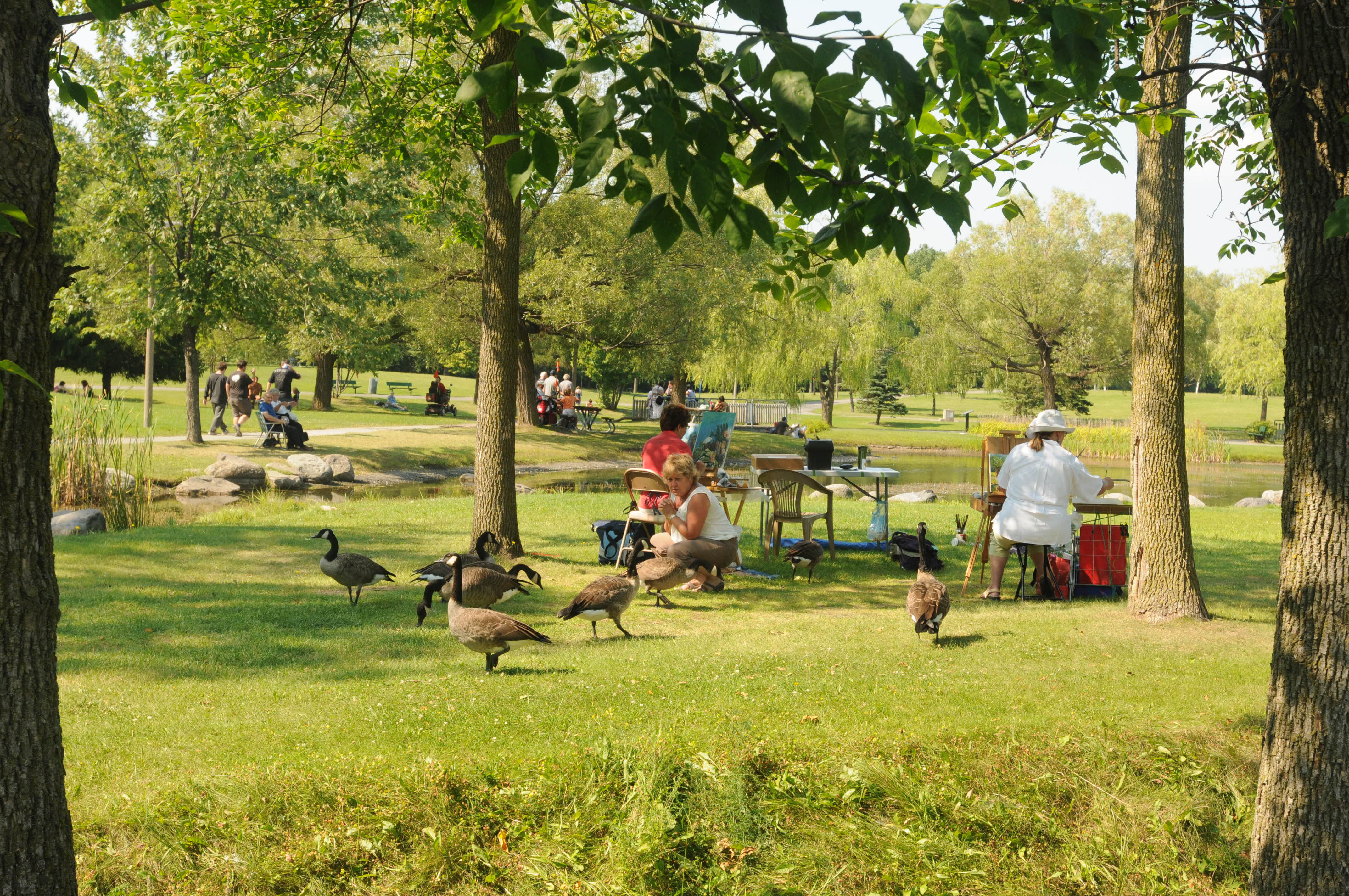 Les rassemblements dans les parcs sont-ils permis ?