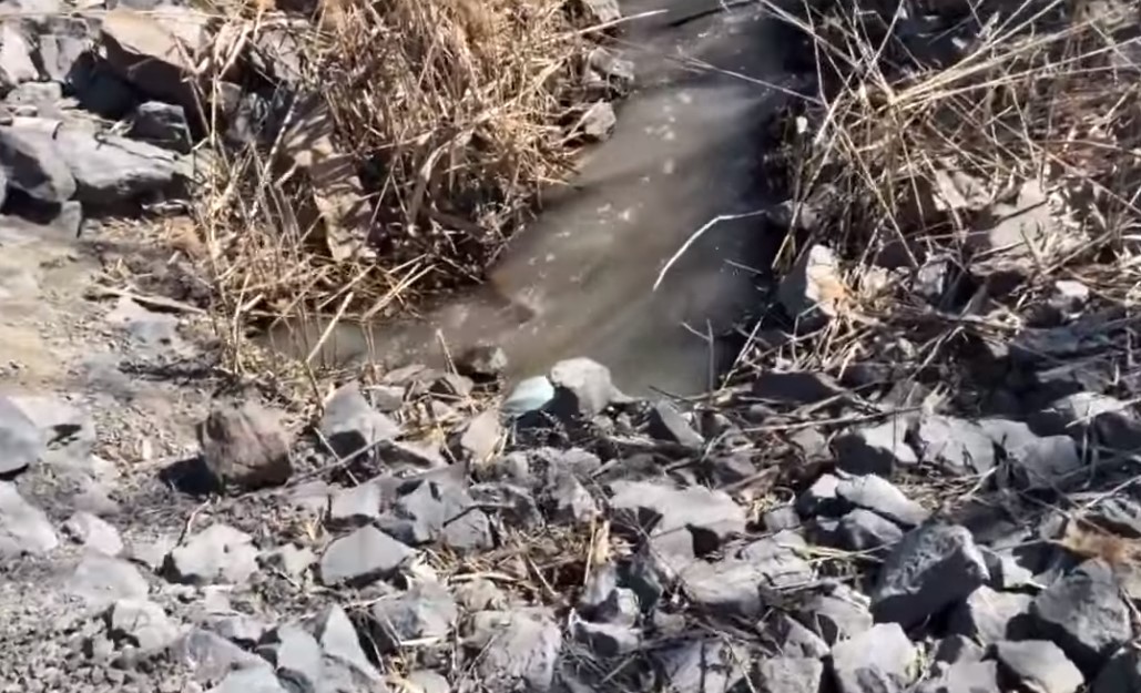 Eau du dépôt à neige dans le boisé Du Tremblay: des échantillons ont été pris par la Ville de Longueuil
