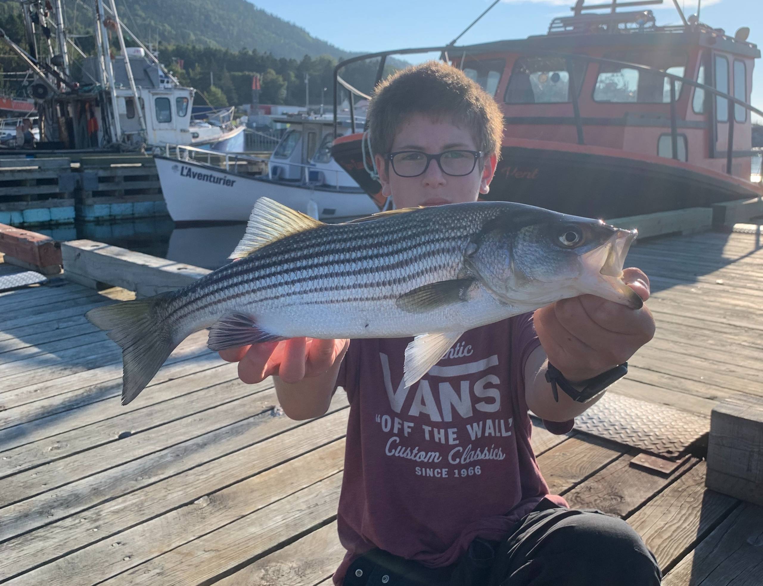 SanDisk Ultra: La carte mémoire idéale pour tous nos appareils