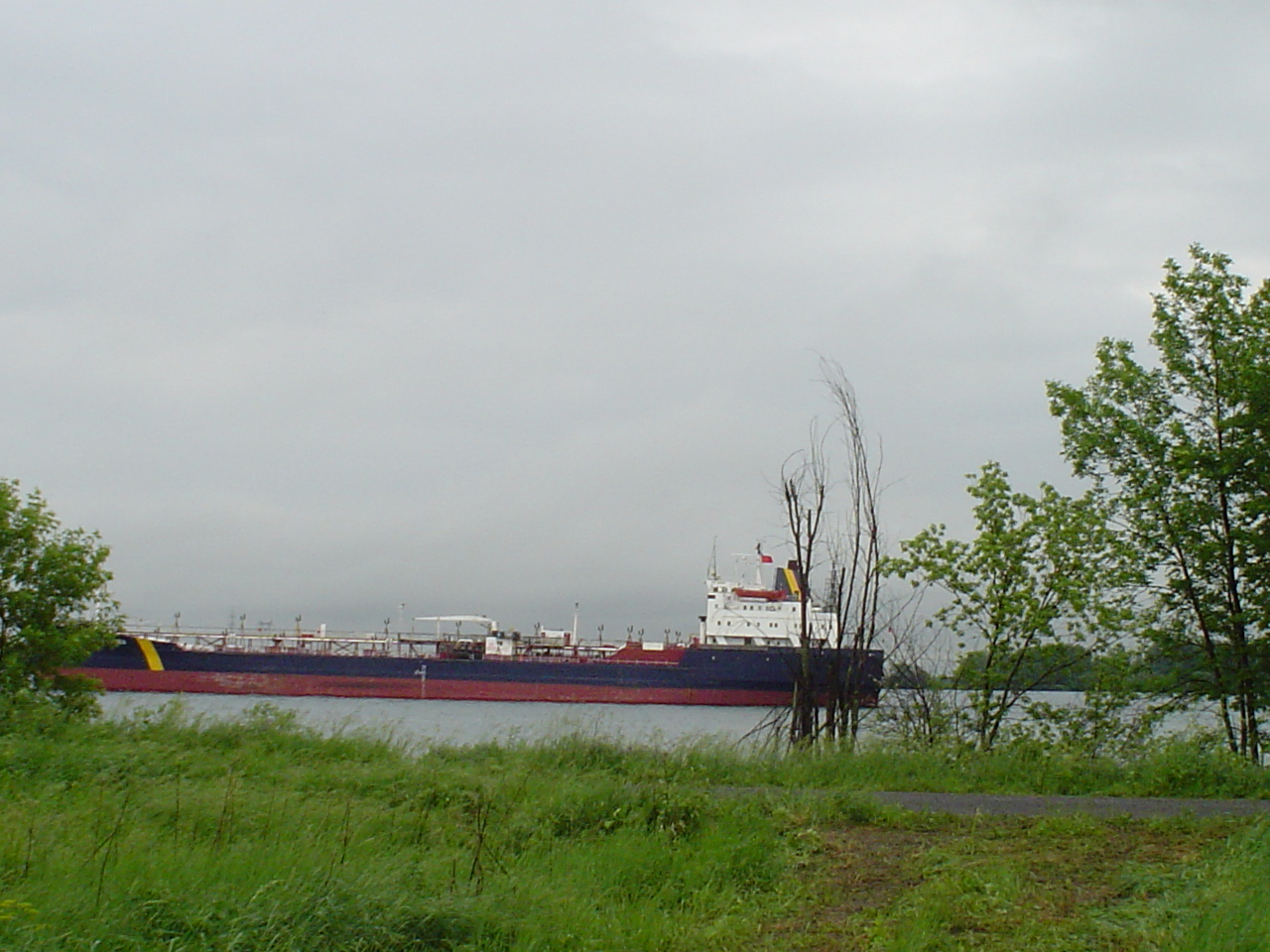 Une connexion indéniable dès les premiers instants