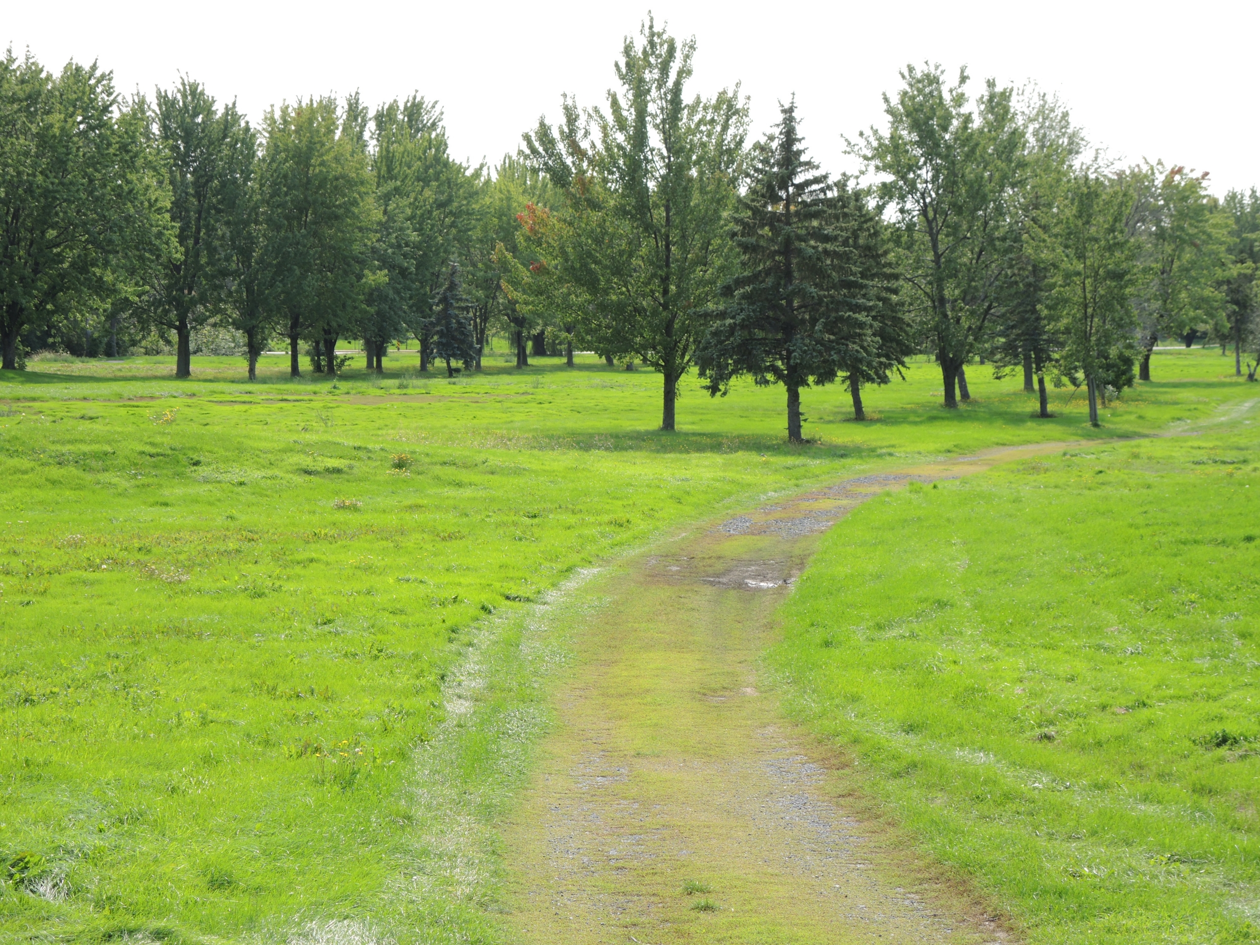 Le soleil revient, les factures aussi, mais au moins, c’est l’été !
