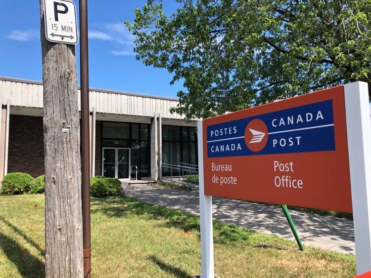 Une demoiselle craintive qui se cherche une famille