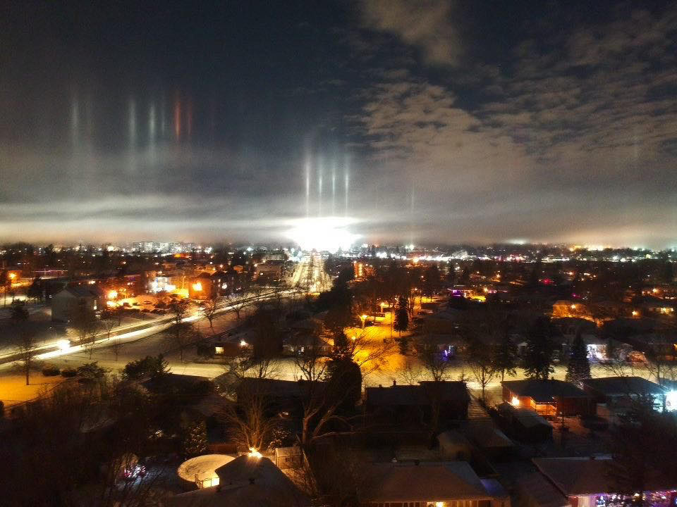 Un chien se fait jouer un tour de magie