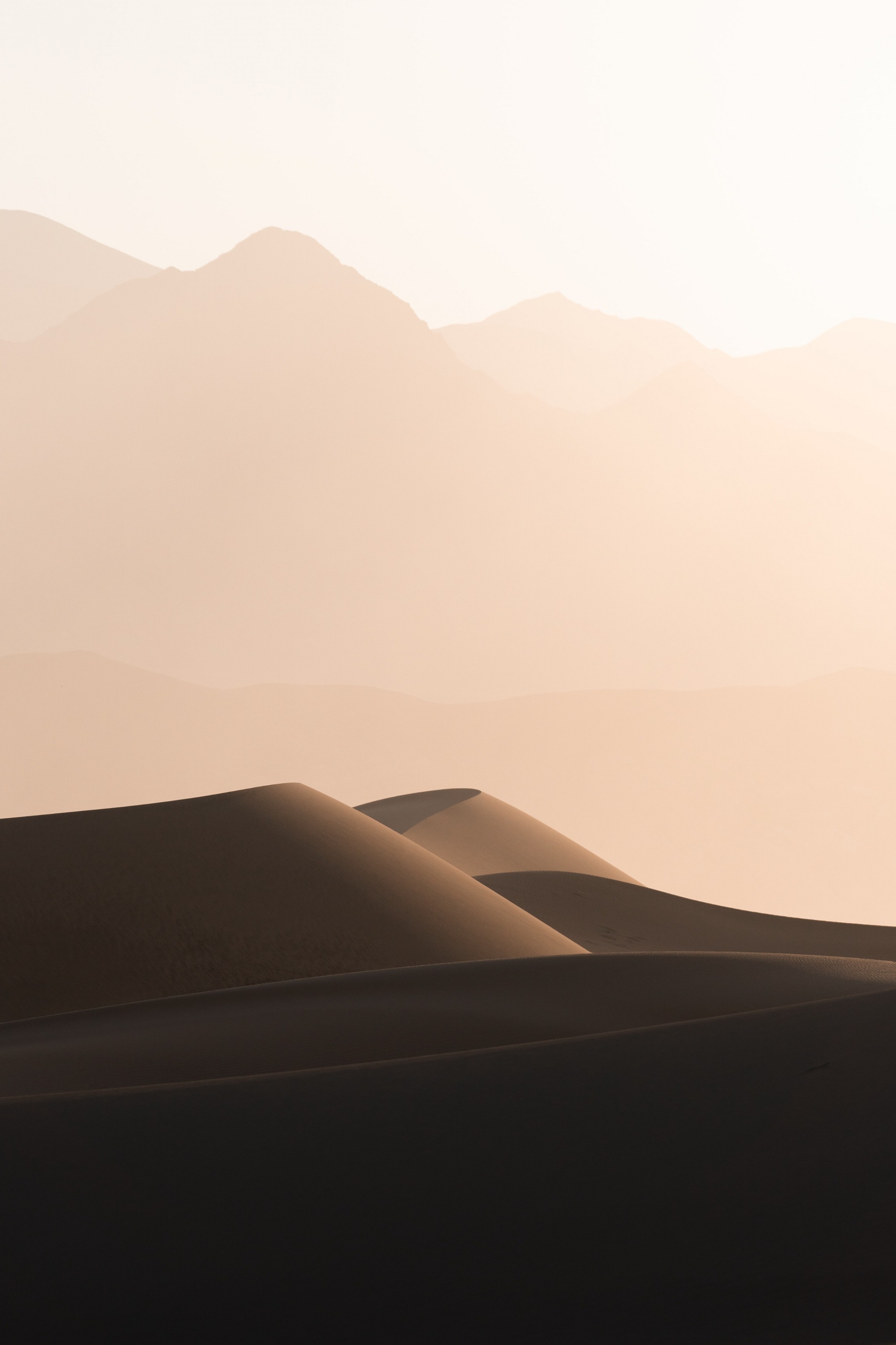 De mignons petits amis