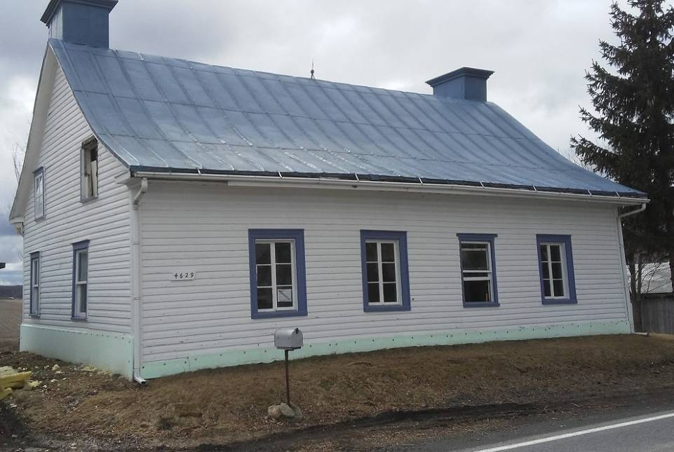 Les chiens et leur amour d&rsquo;une balle!