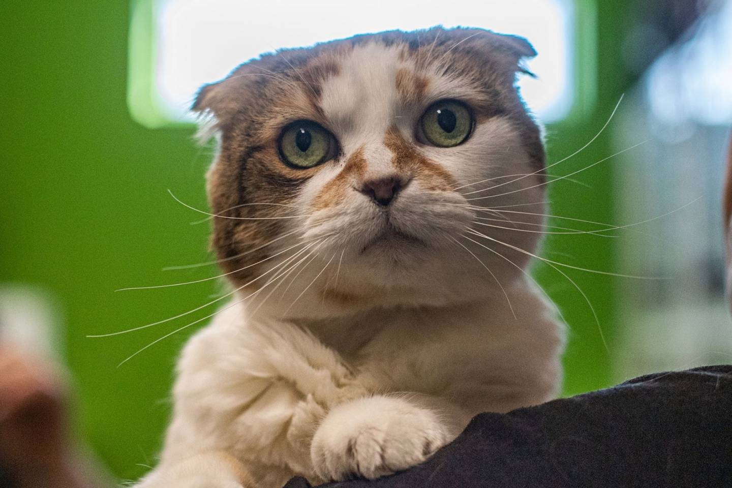 Ce masque de sommeil québécois facilite le repos pendant les déplacements