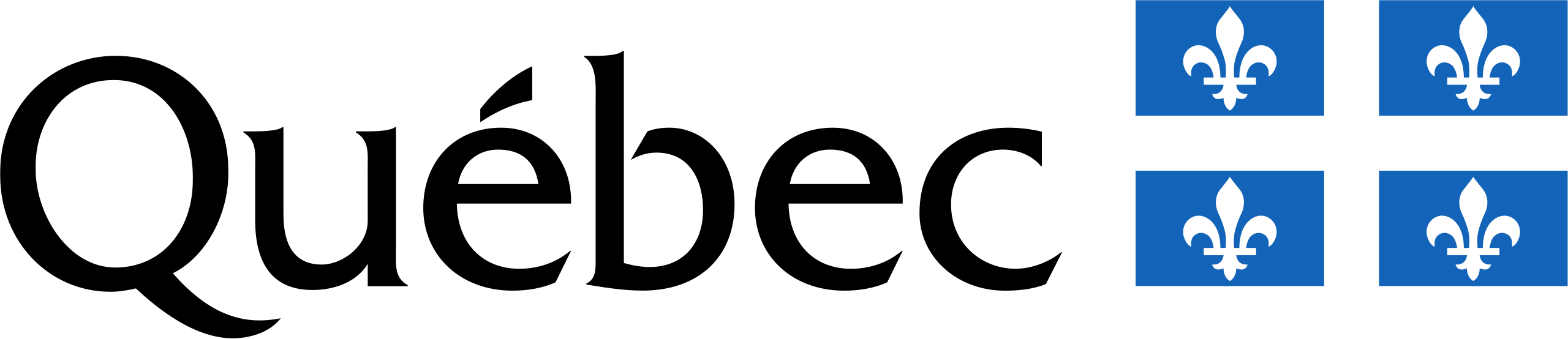 Harley, une chatte timide et solitaire