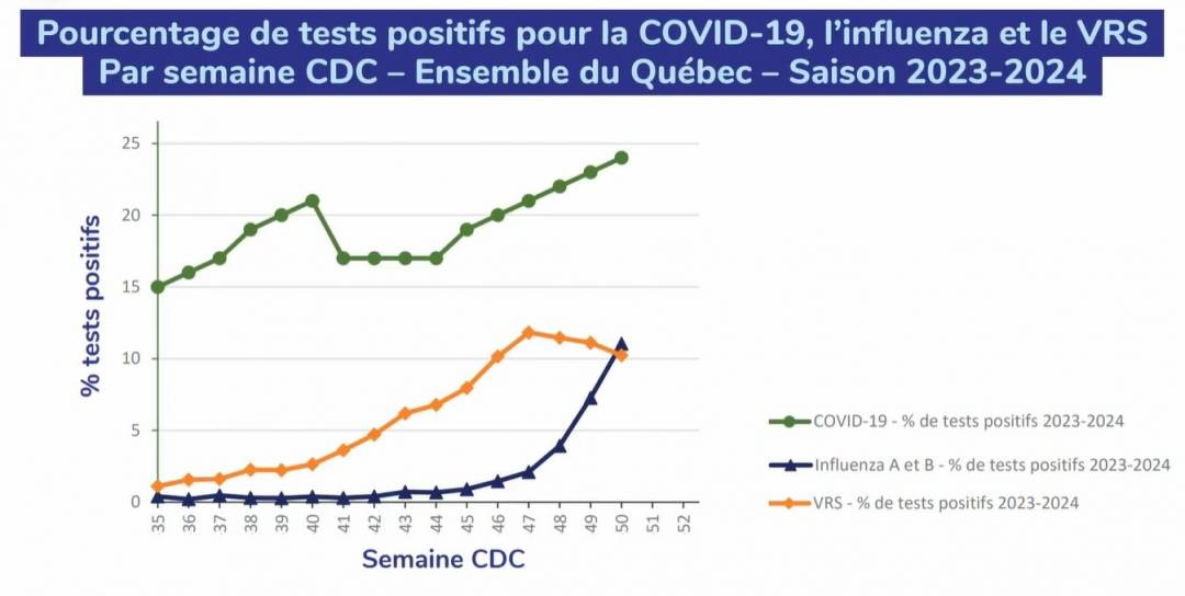 Amusez-vous avec les renards et les couvertures