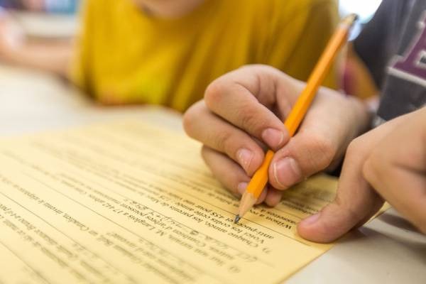 Le cheval a trouvé la nourriture pour les écureuils