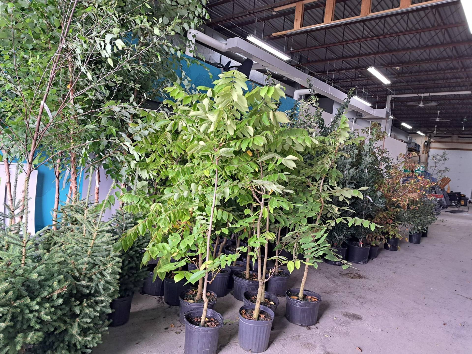 Découvrez des prix de billets d’avion ridiculement bas grâce à ce truc sur Google Flights