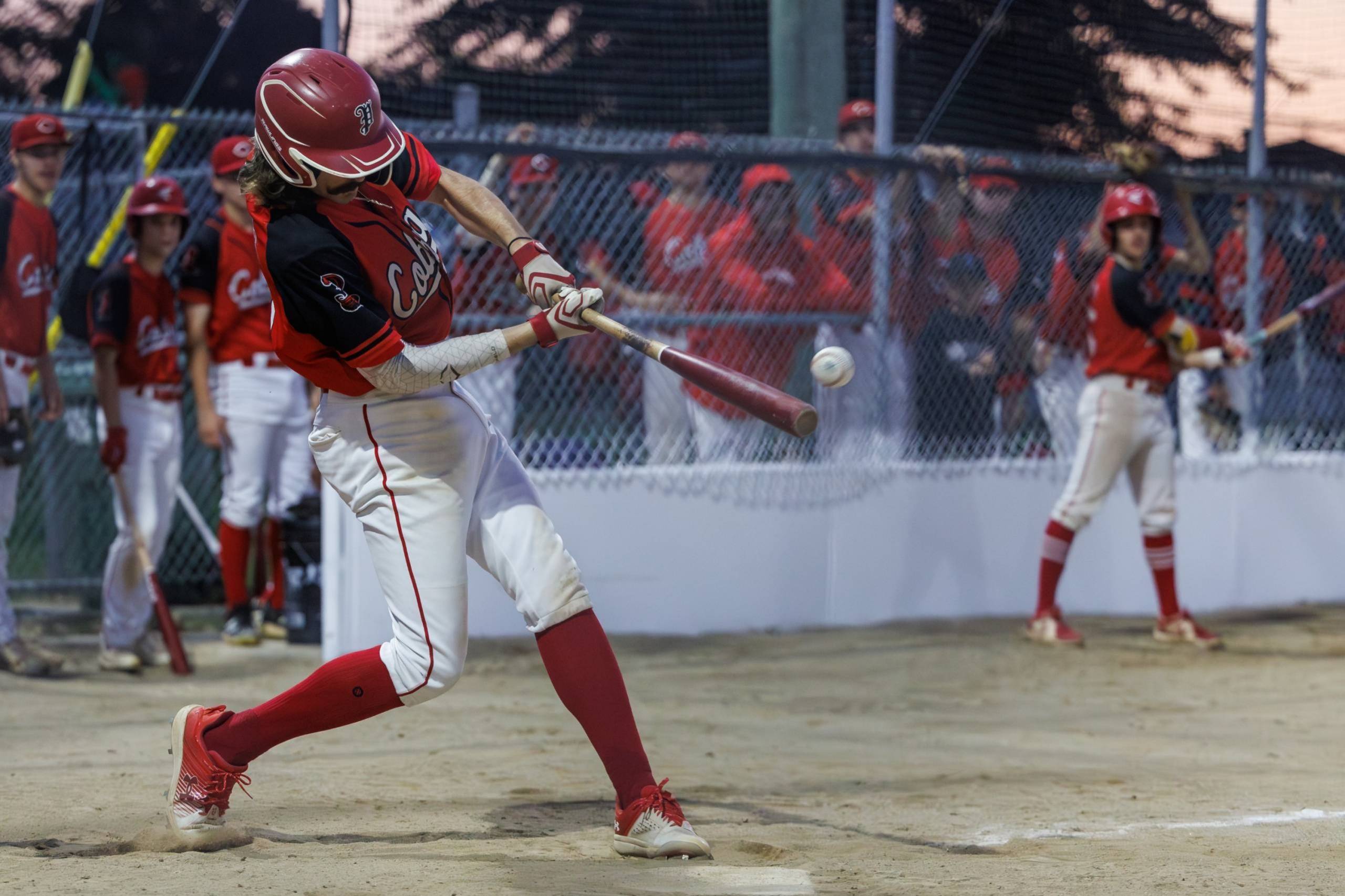 C’est le chien qui sonne à la porte