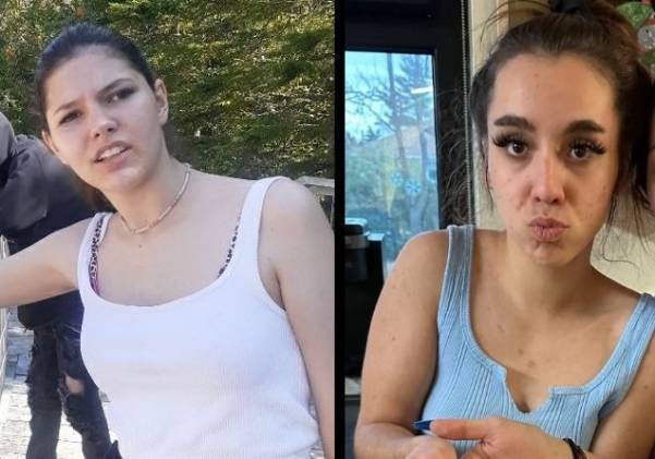 Un chat dort sur un radiateur