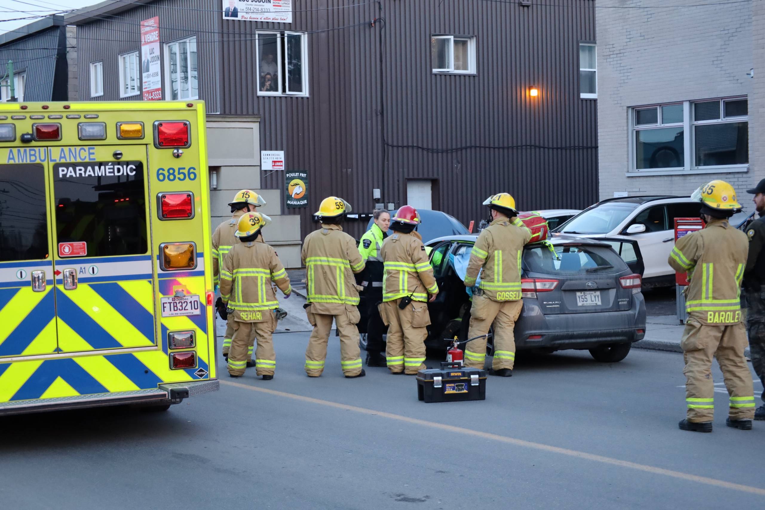 Quand le chat est affamé!
