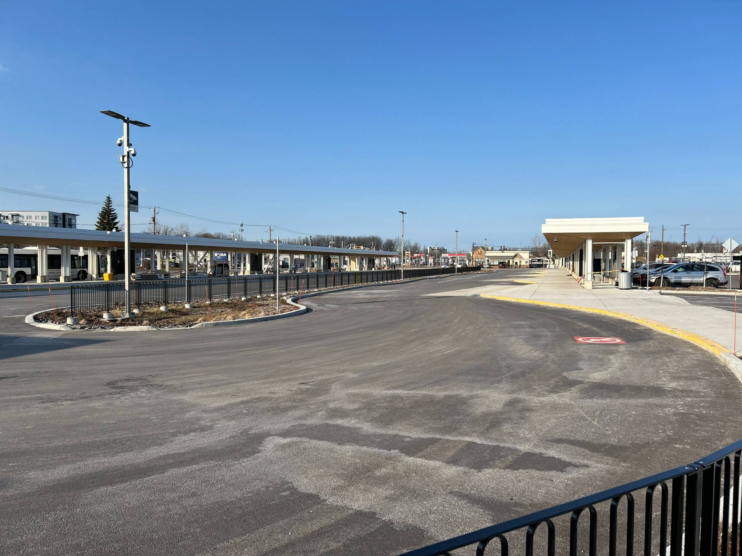 Le chat adore le poteau