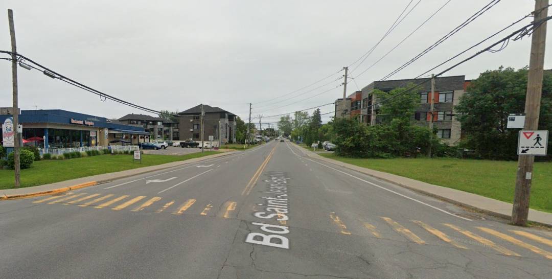 Un chien champion au tire de l&rsquo;élastique