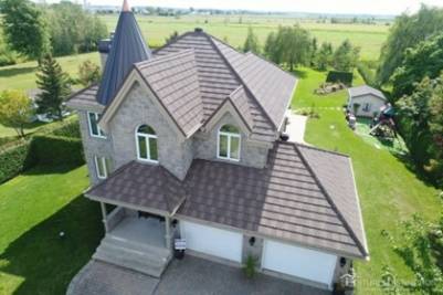 Chat policier en patrouille