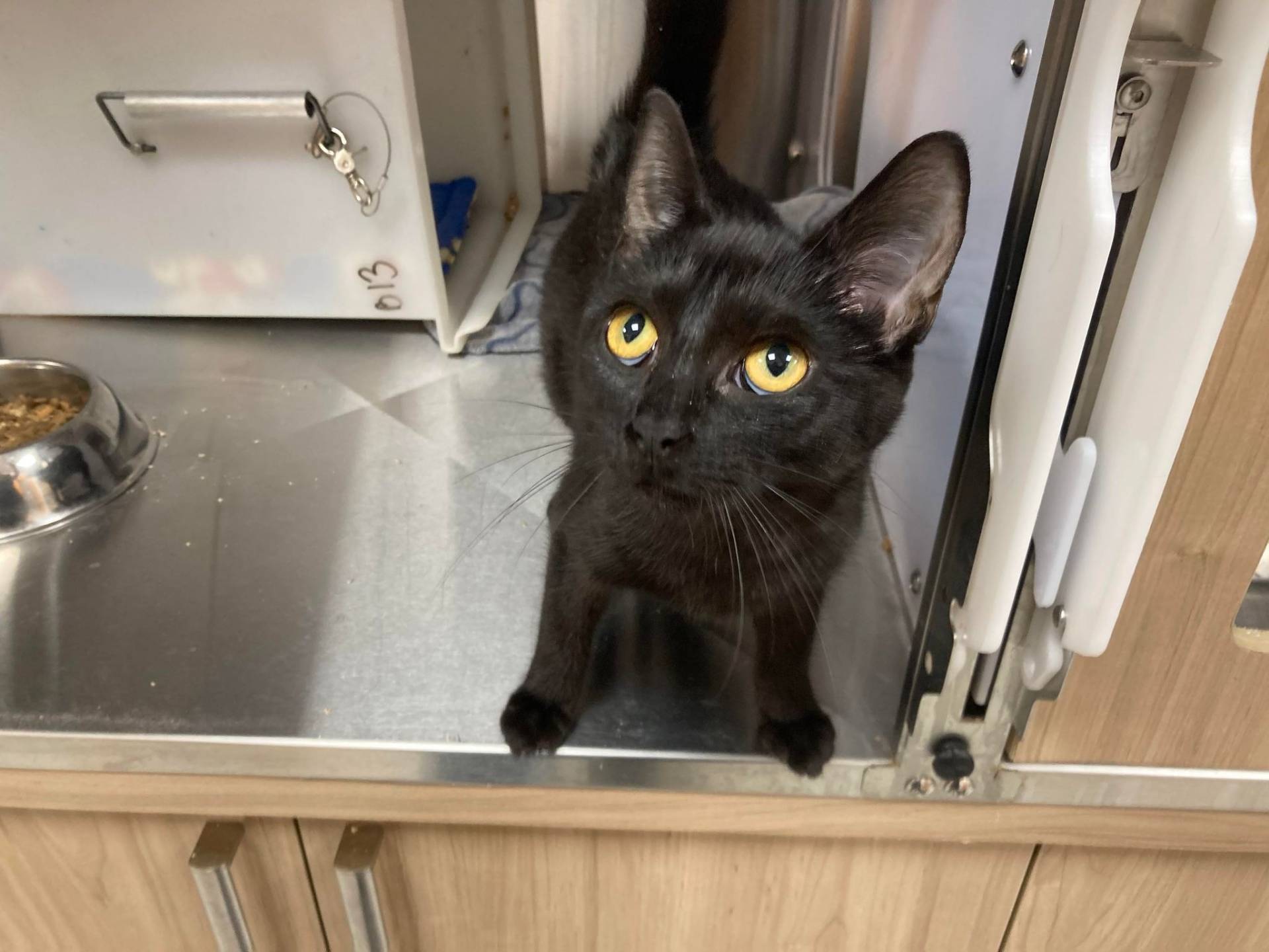 Comment faire ses menus de la semaine?