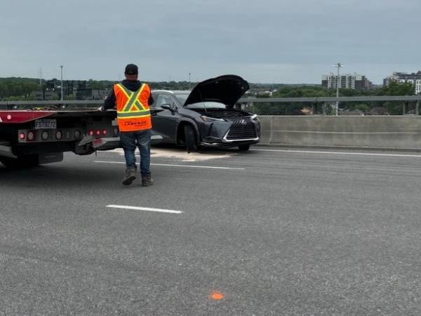 Quand le chat n&rsquo;a aucun respect pour toi!