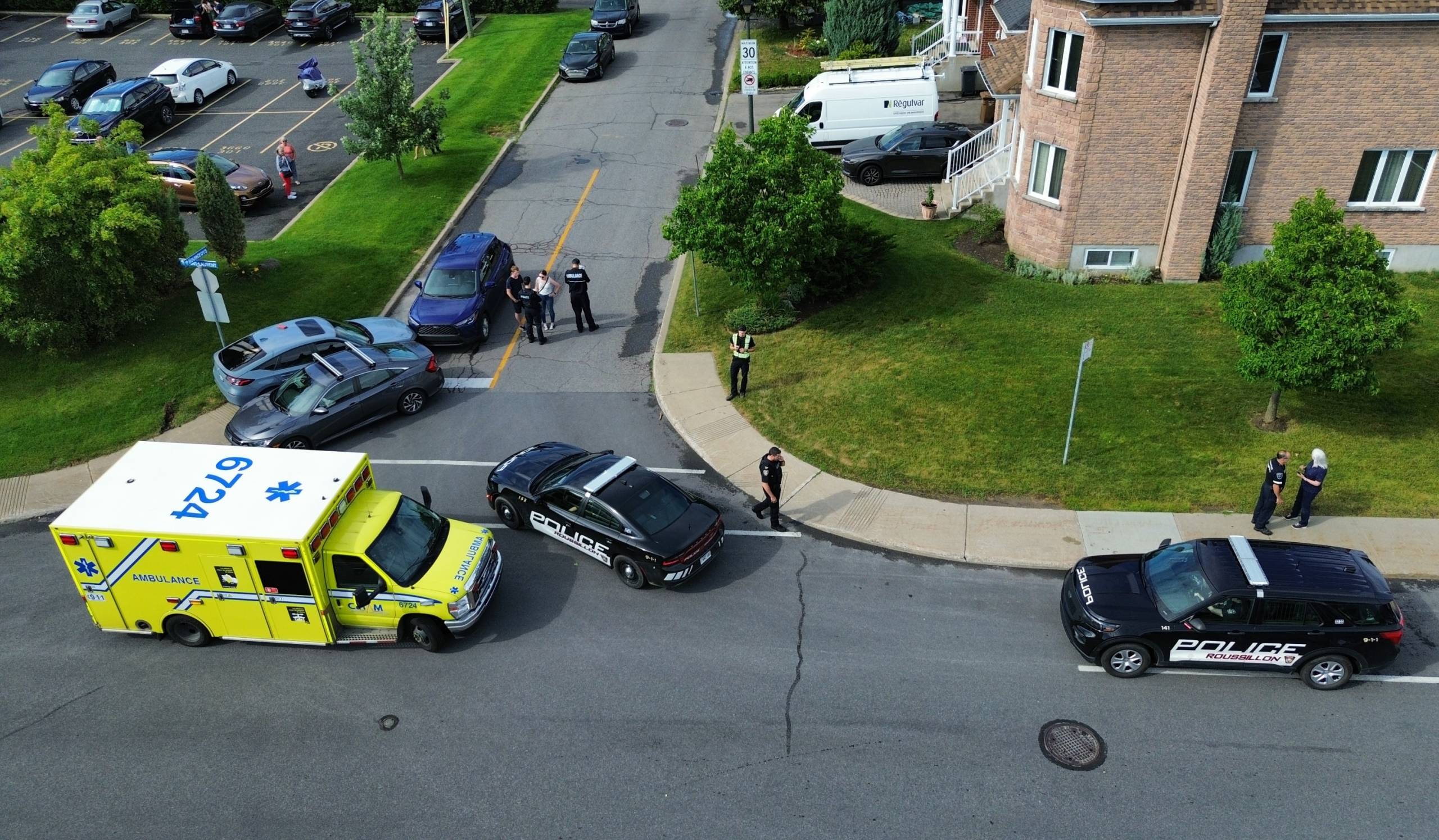 L&rsquo;ours a du mal à monter sur le hamac