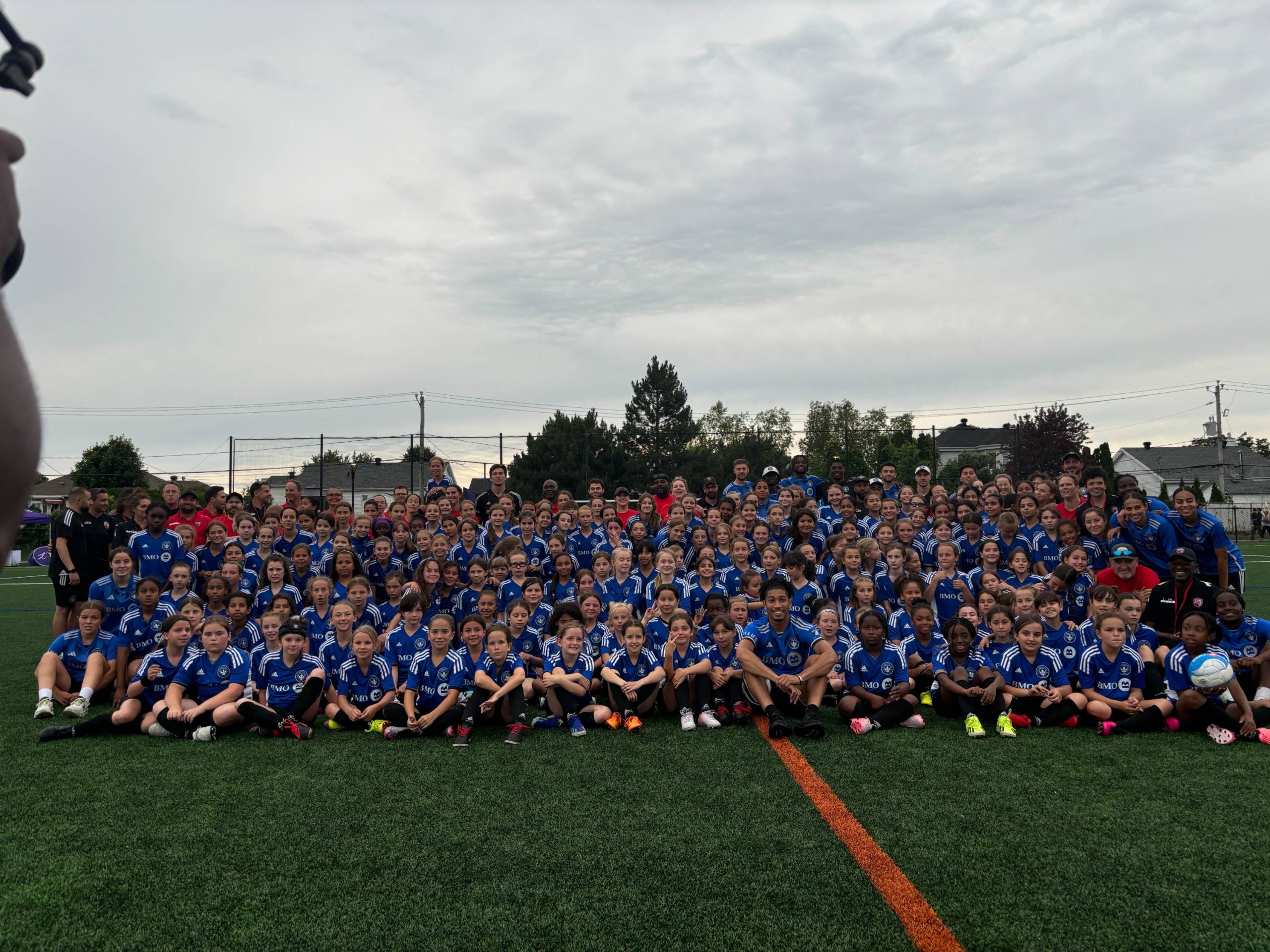 Le chat est un meownager