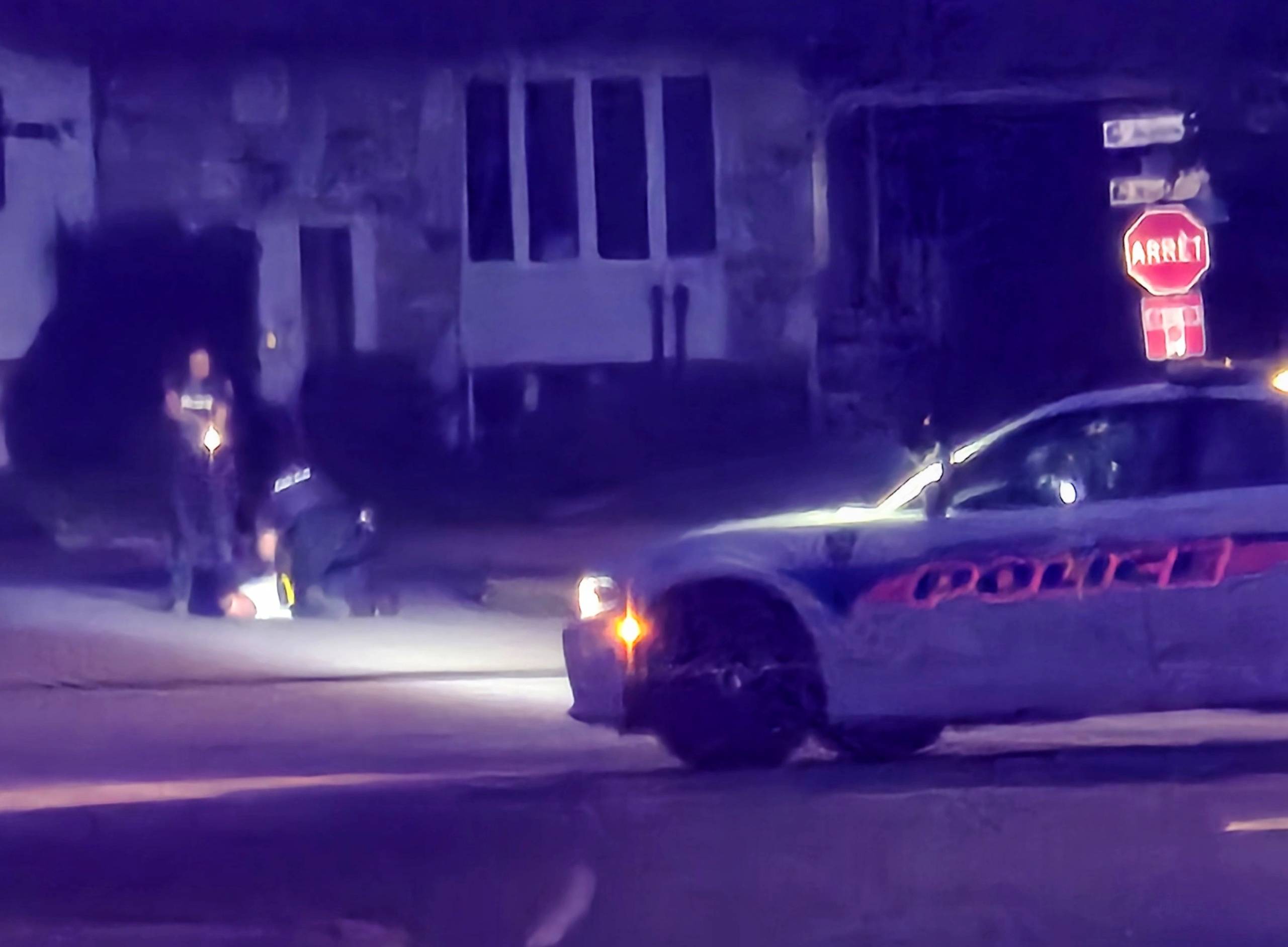 Extermination des Souris dans les Condos de Montréal