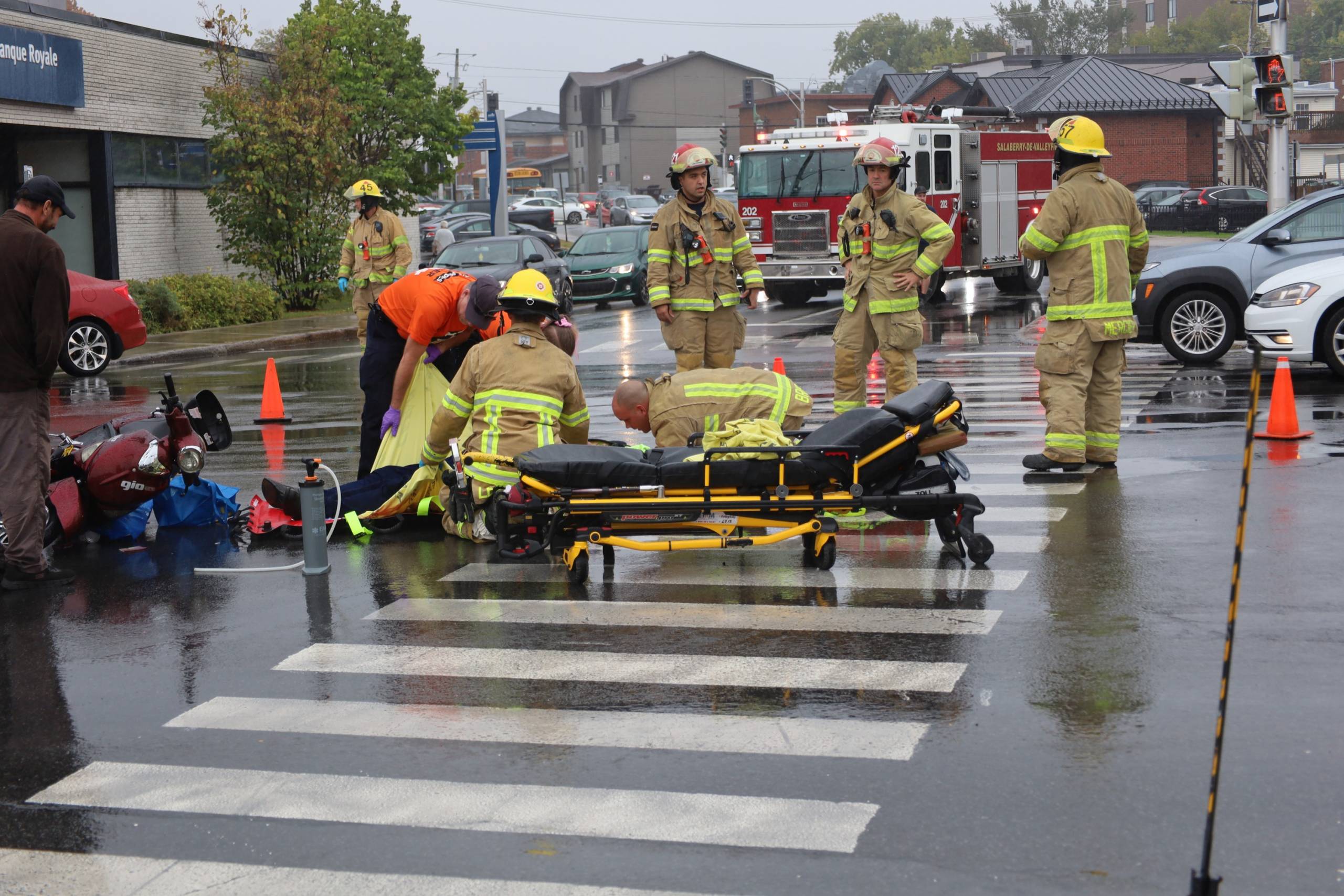 Un chien paralysé court en fauteuil roulant pour la première fois