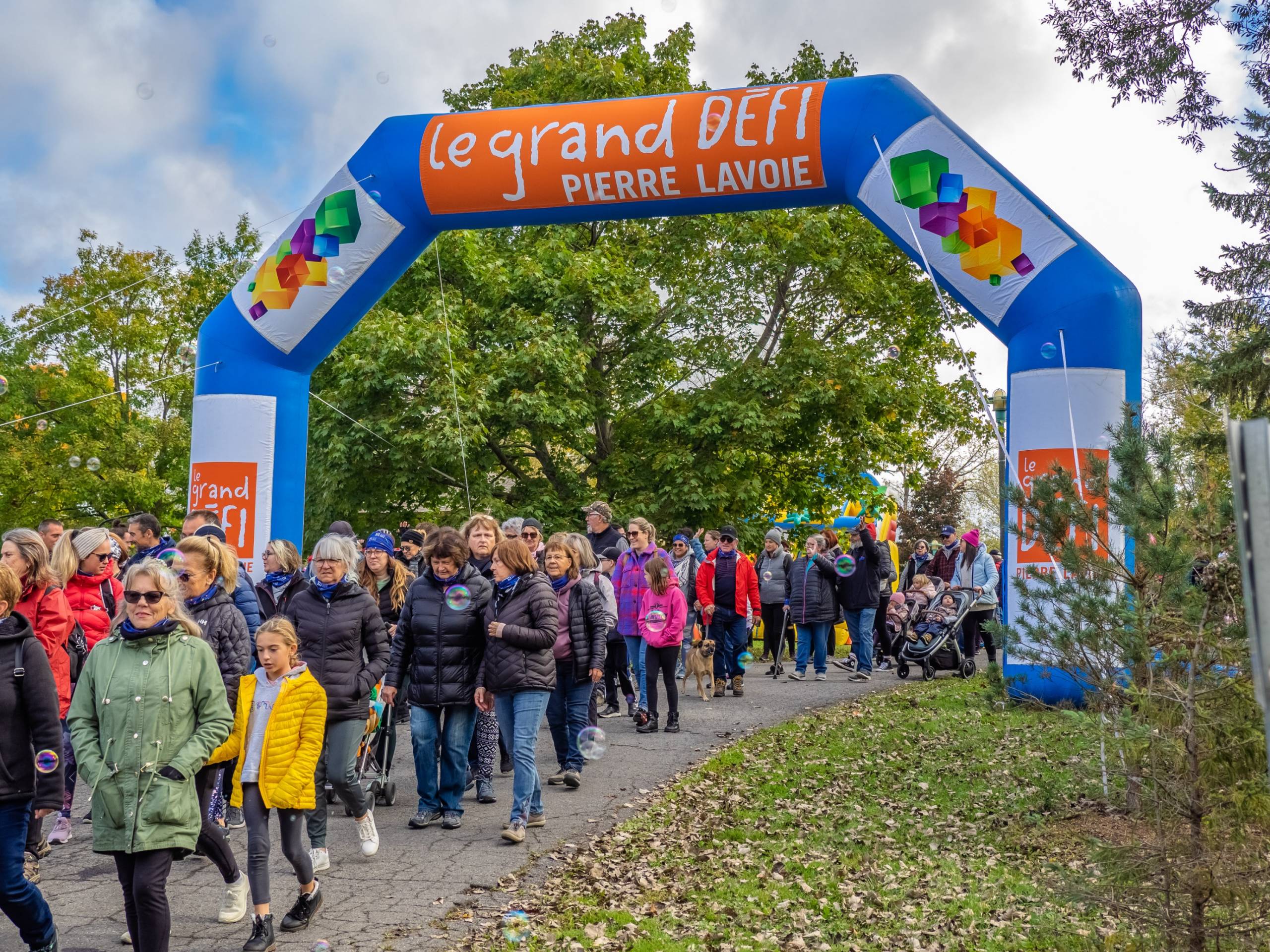Une tortue et un chien partagent un repas